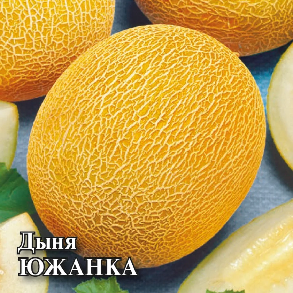 Южанка