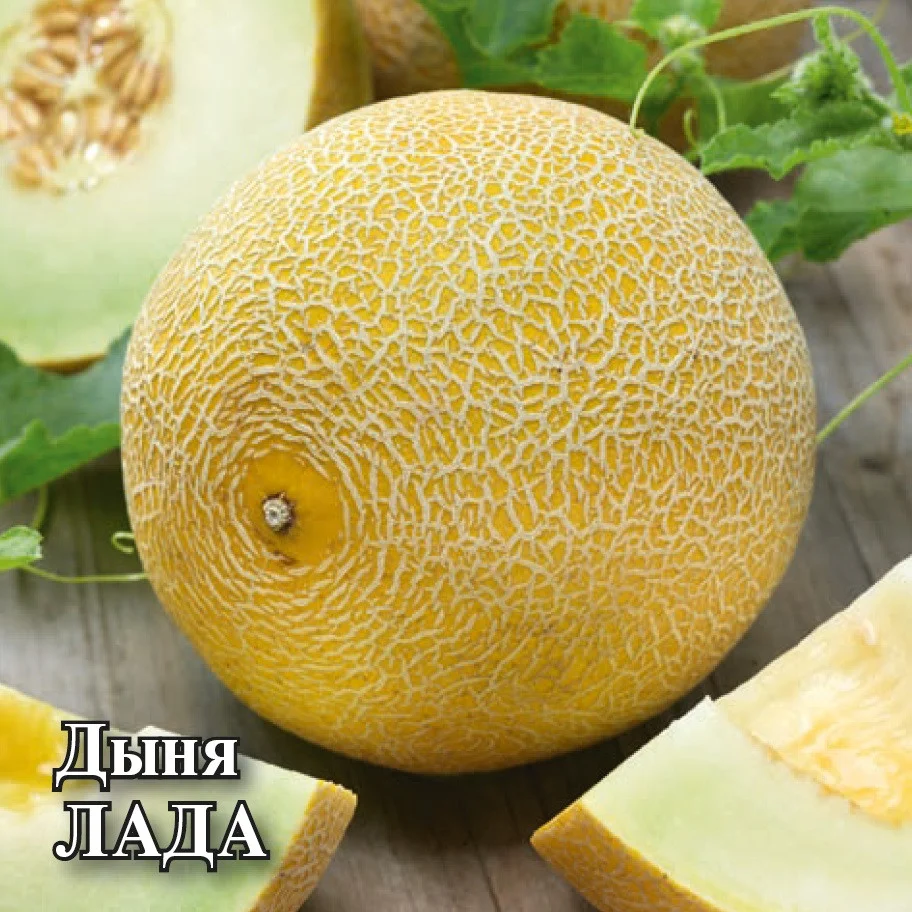 Миниатюра изображения сорта Лада