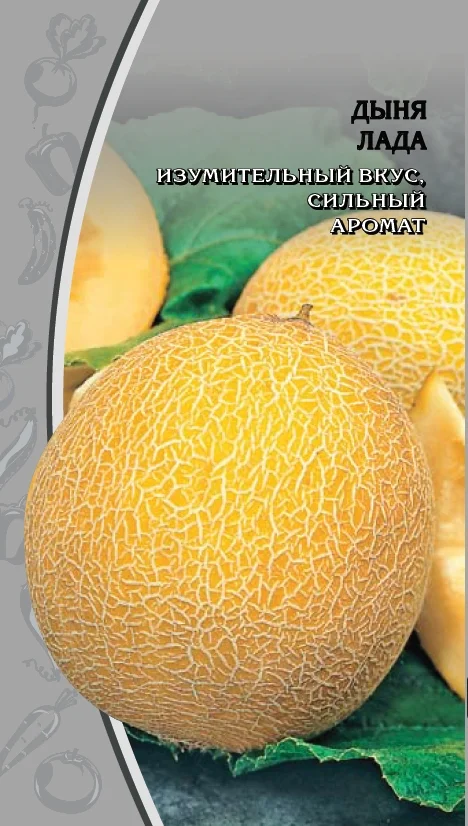 Миниатюра изображения сорта Лада