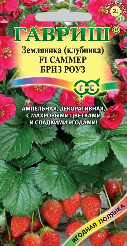 Миниатюра изображения сорта Саммер Бриз Роуз