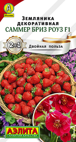 Саммер Бриз Роуз