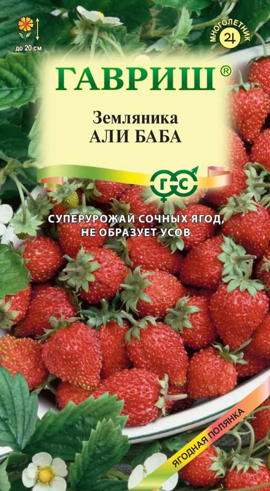 Миниатюра изображения сорта Али Баба