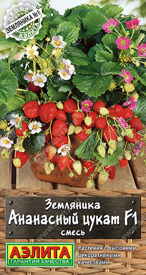 Ананасный цукат