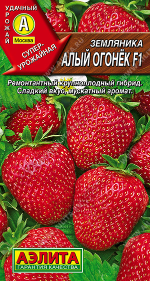 Алый огонек