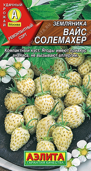 Вайс Солемахер