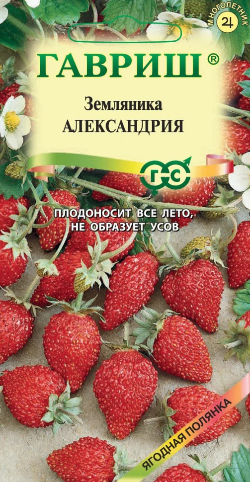 Александрия