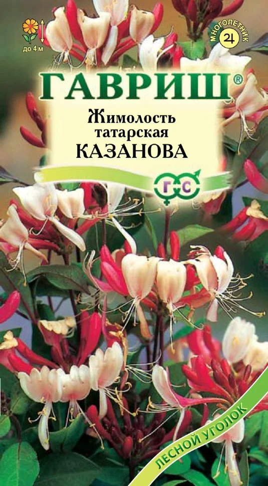 Казанова