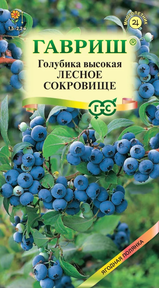 Лесное сокровище