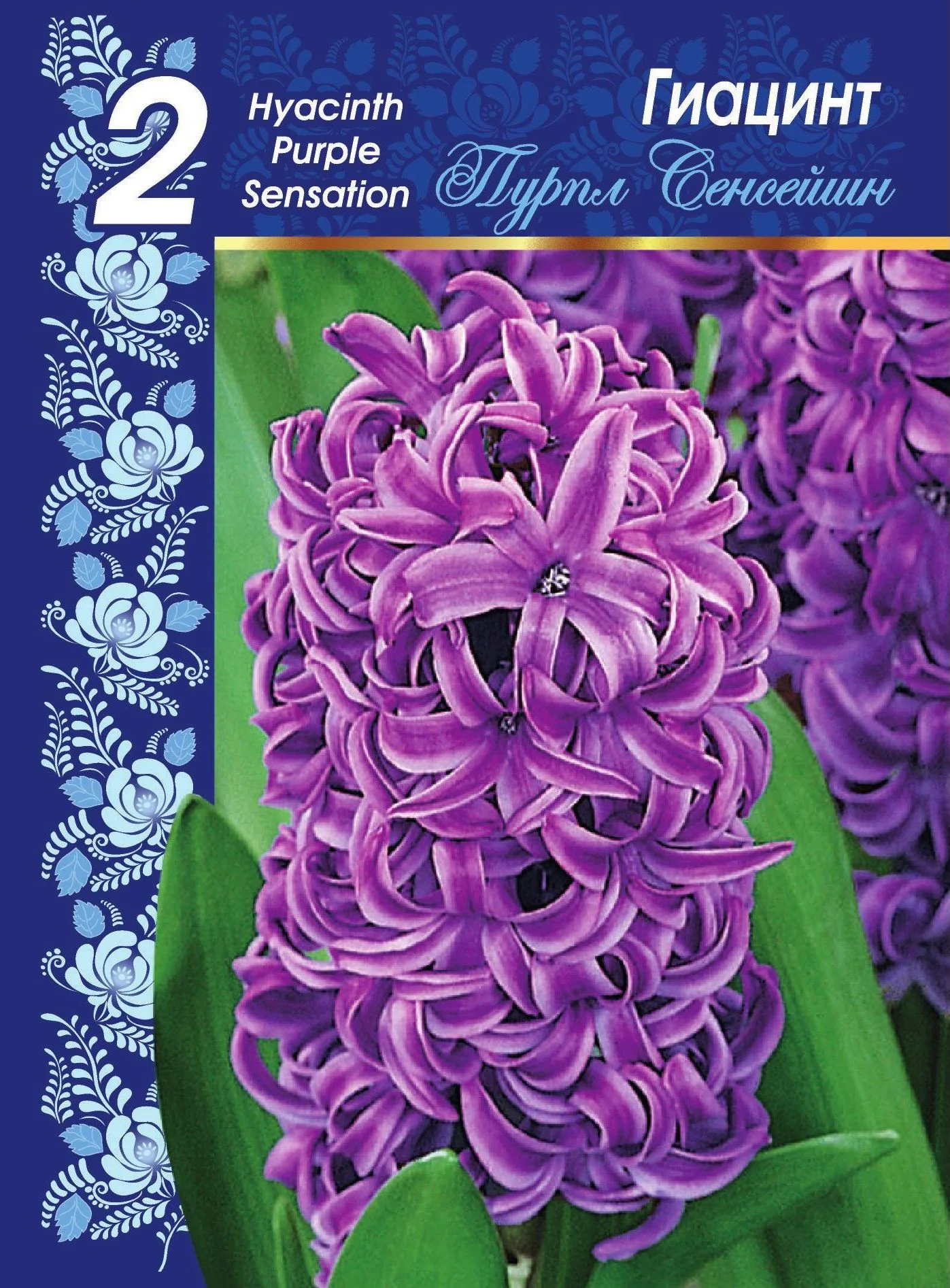 Пурпл Сенсейшен