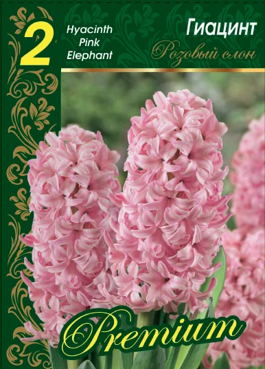 Пинк Эльфант Розовый слон