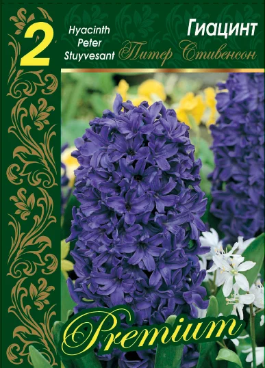 Питер Стивенсон 