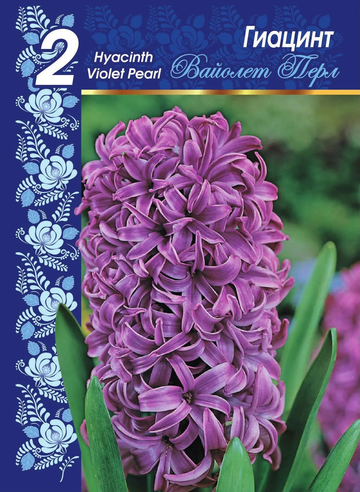 Вайолет Перл