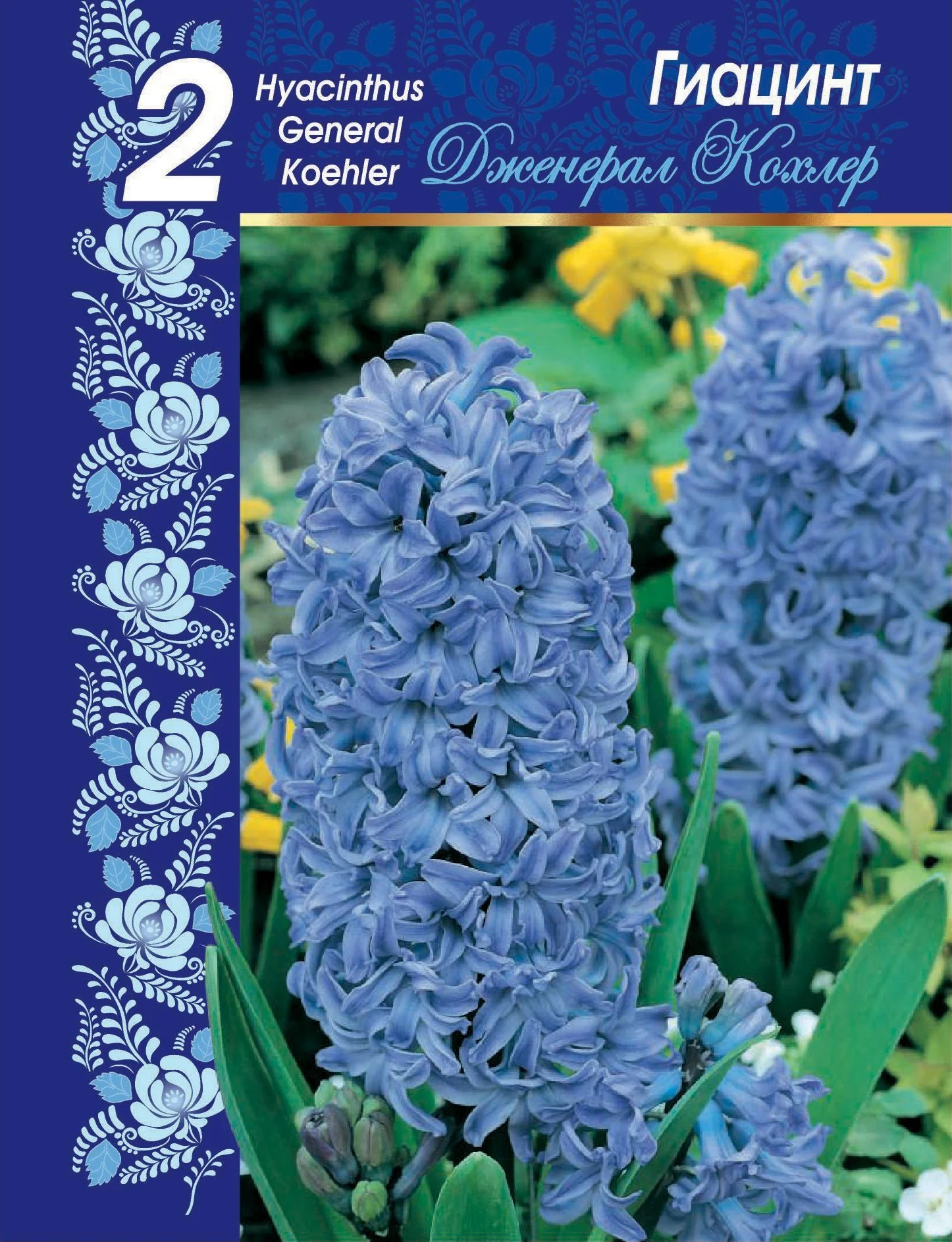 Дженерал Кохлер