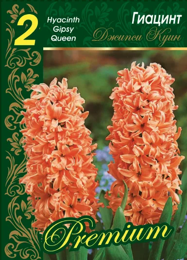 Джипси Кyин