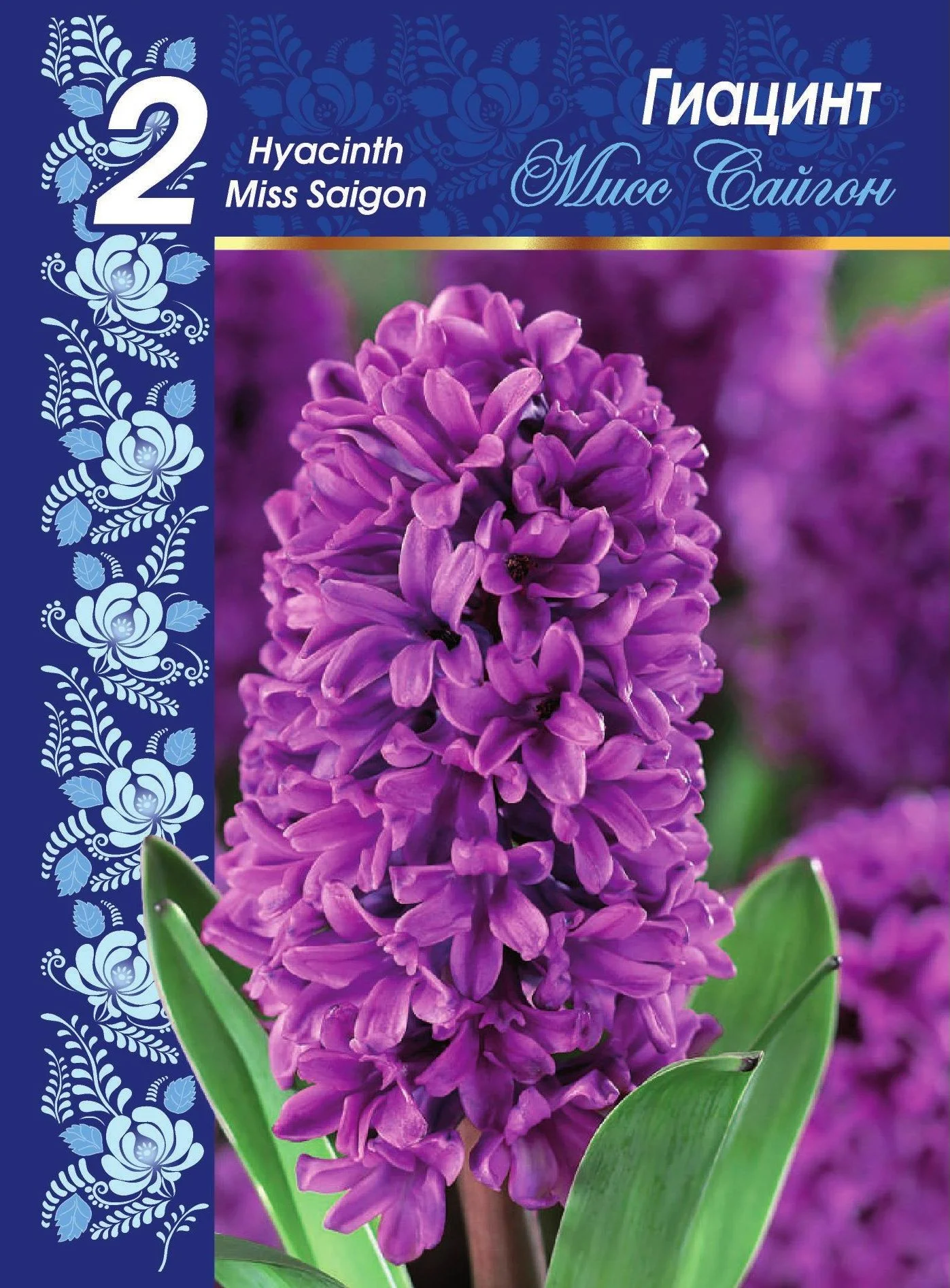 Мисс Сайгон