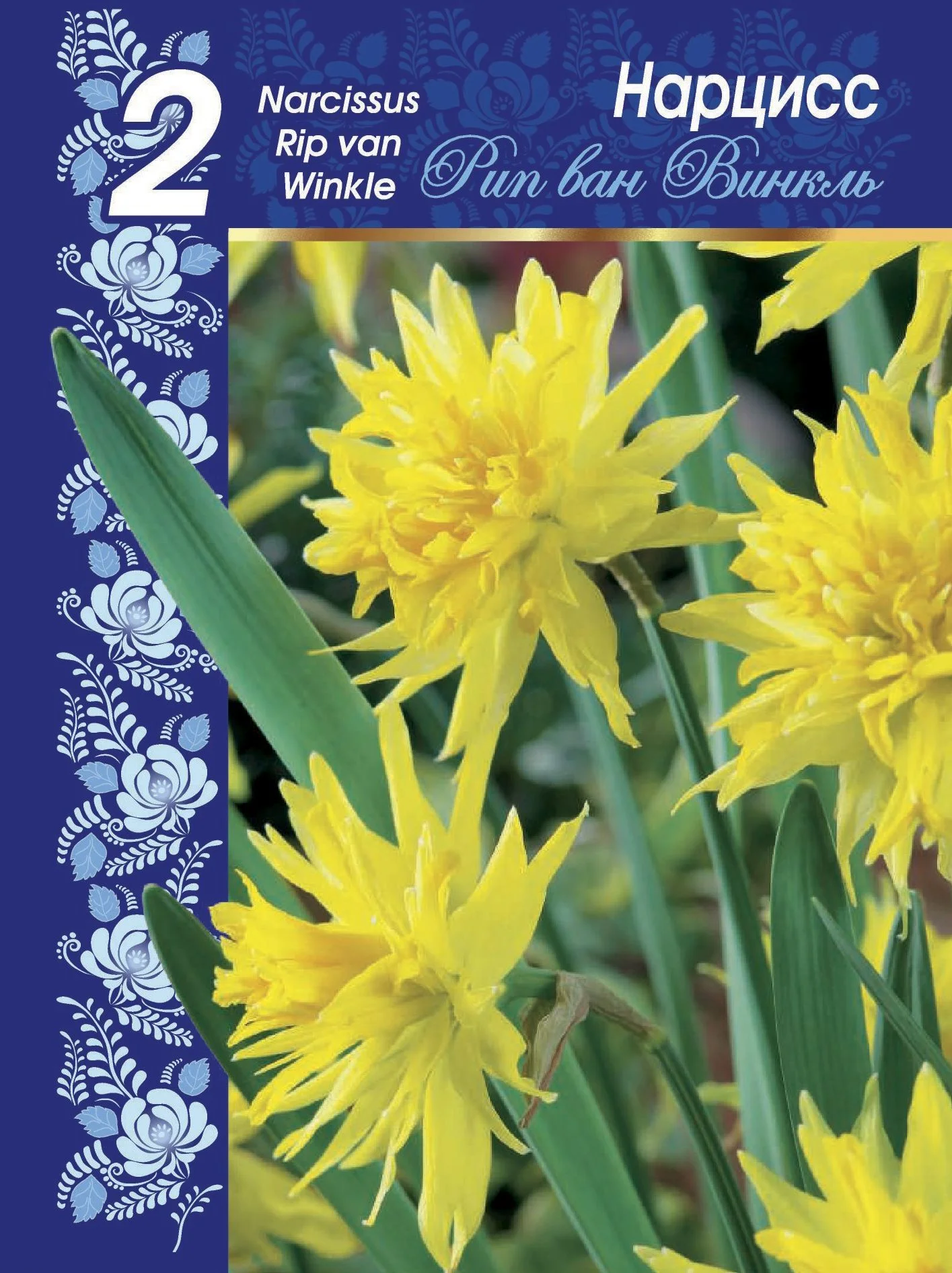 Рип ван Винкль