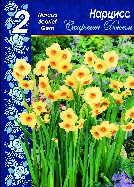 Скарлет Джем