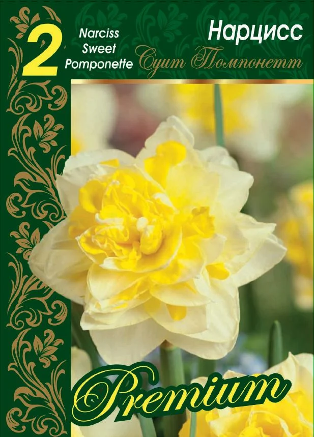 Суит Помпонетт