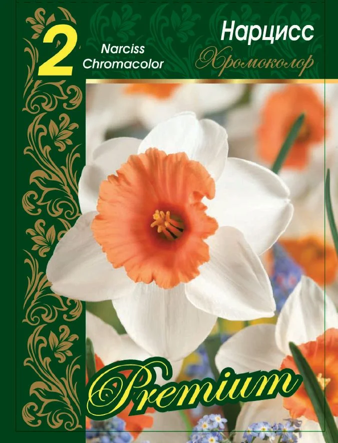 Хромоколор