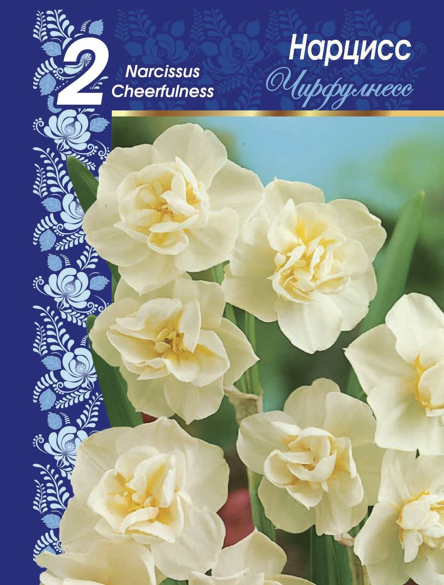 Чирфулнесс цветочки - розочки