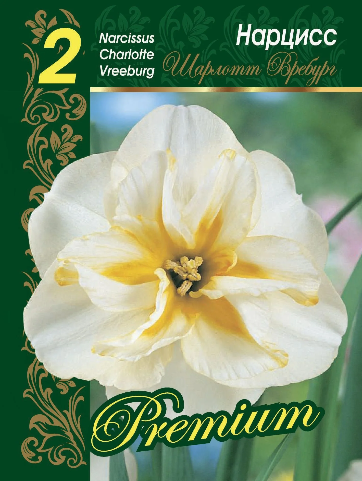 Шарлотт Вребург