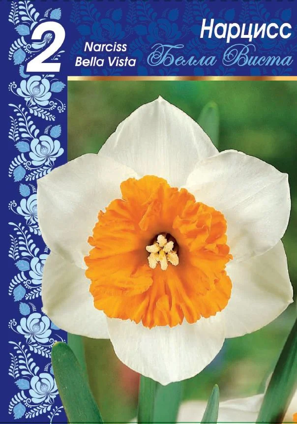 Белла Виста