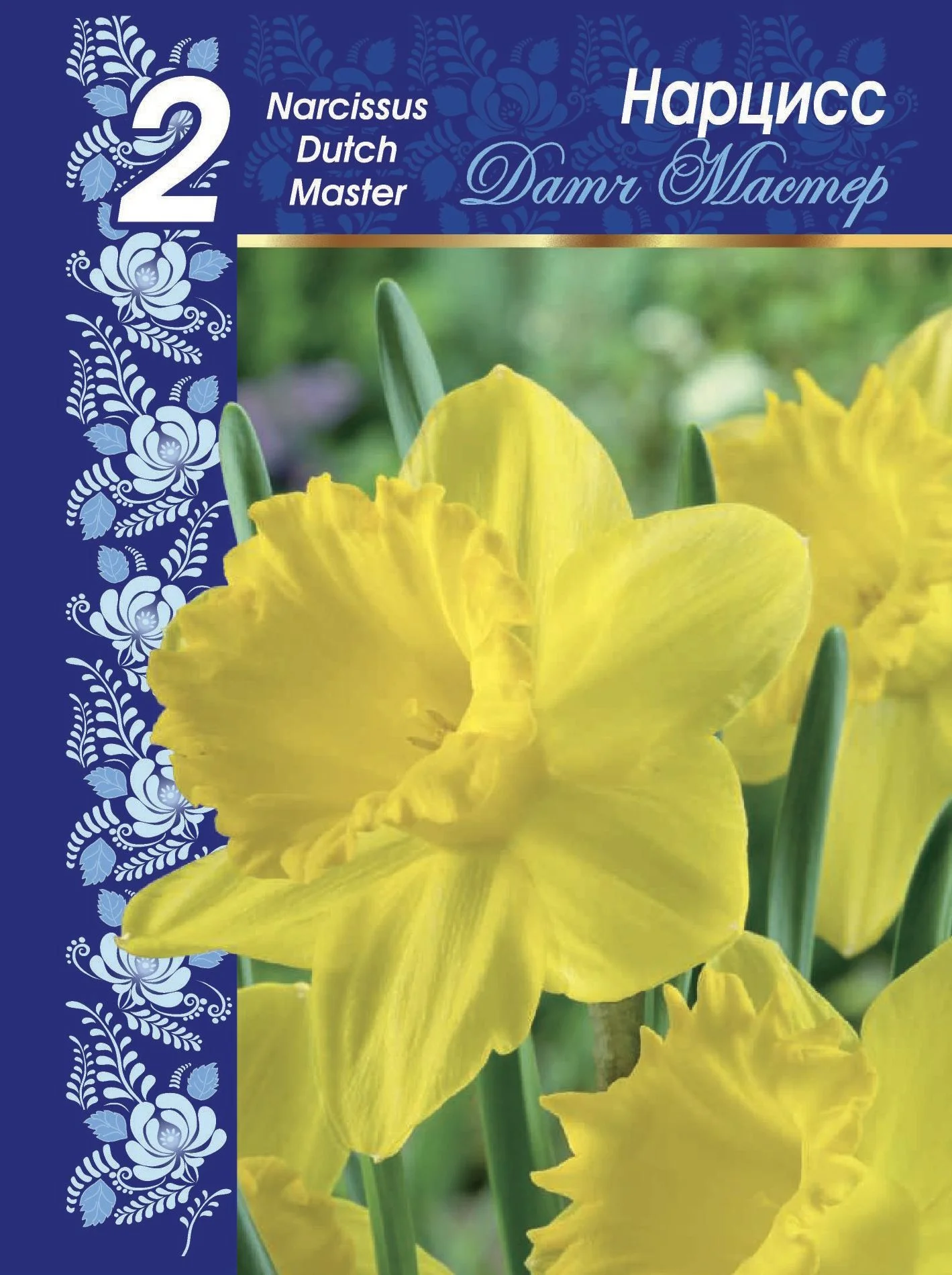 Датч Мастер