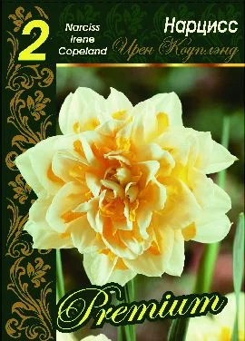 Ирен Коупленд