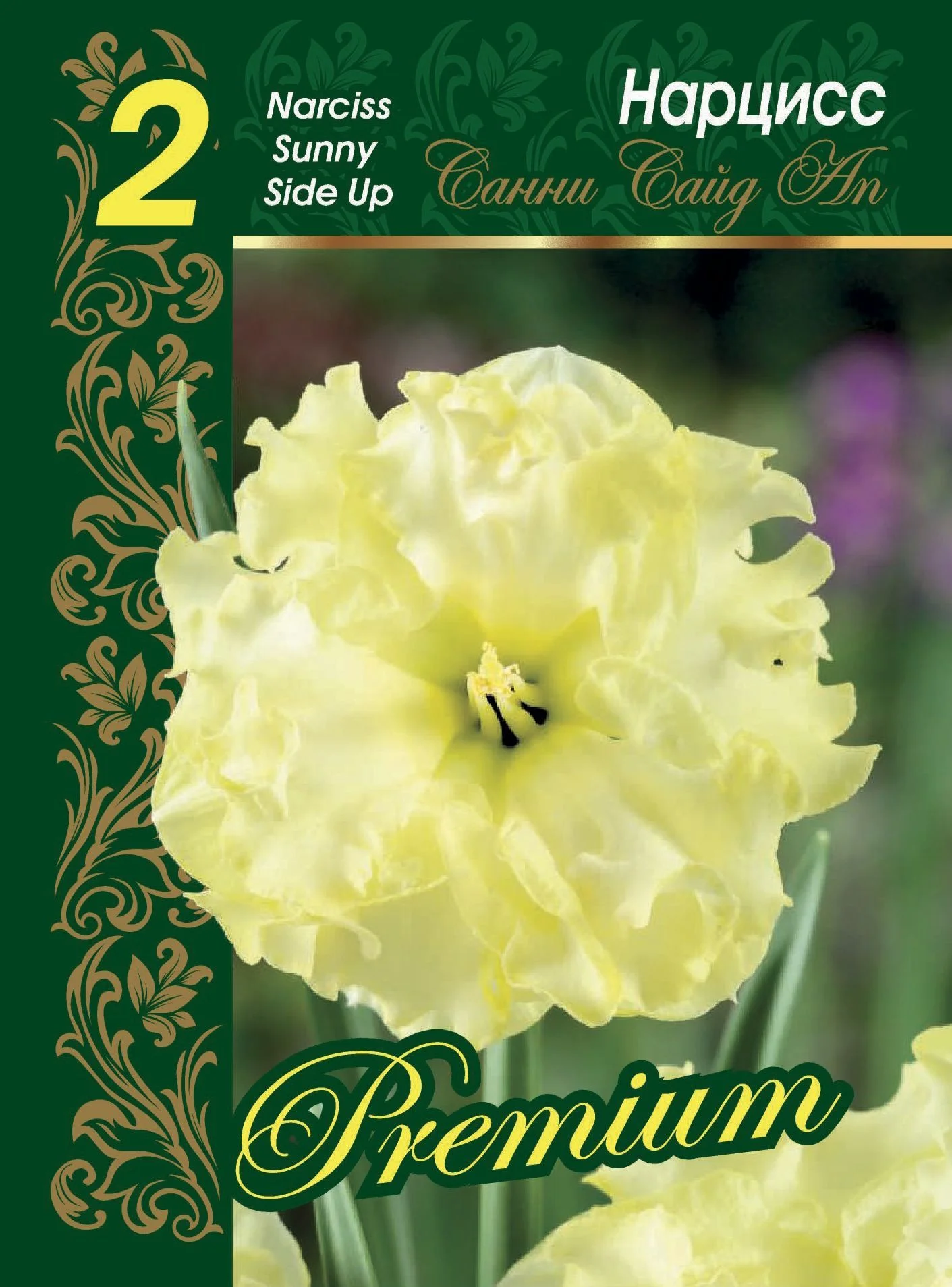 Санни Сайд Ап