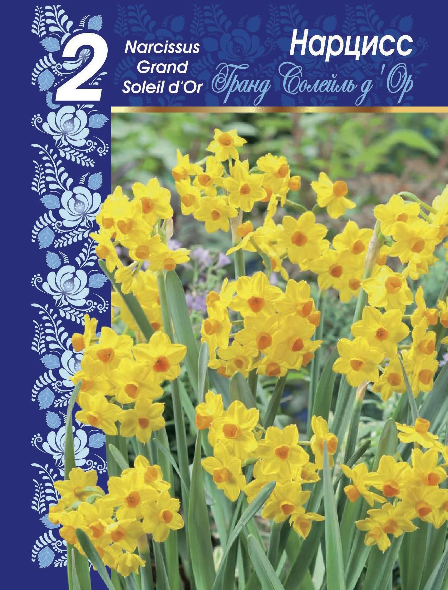 Гранд Солейль дОр