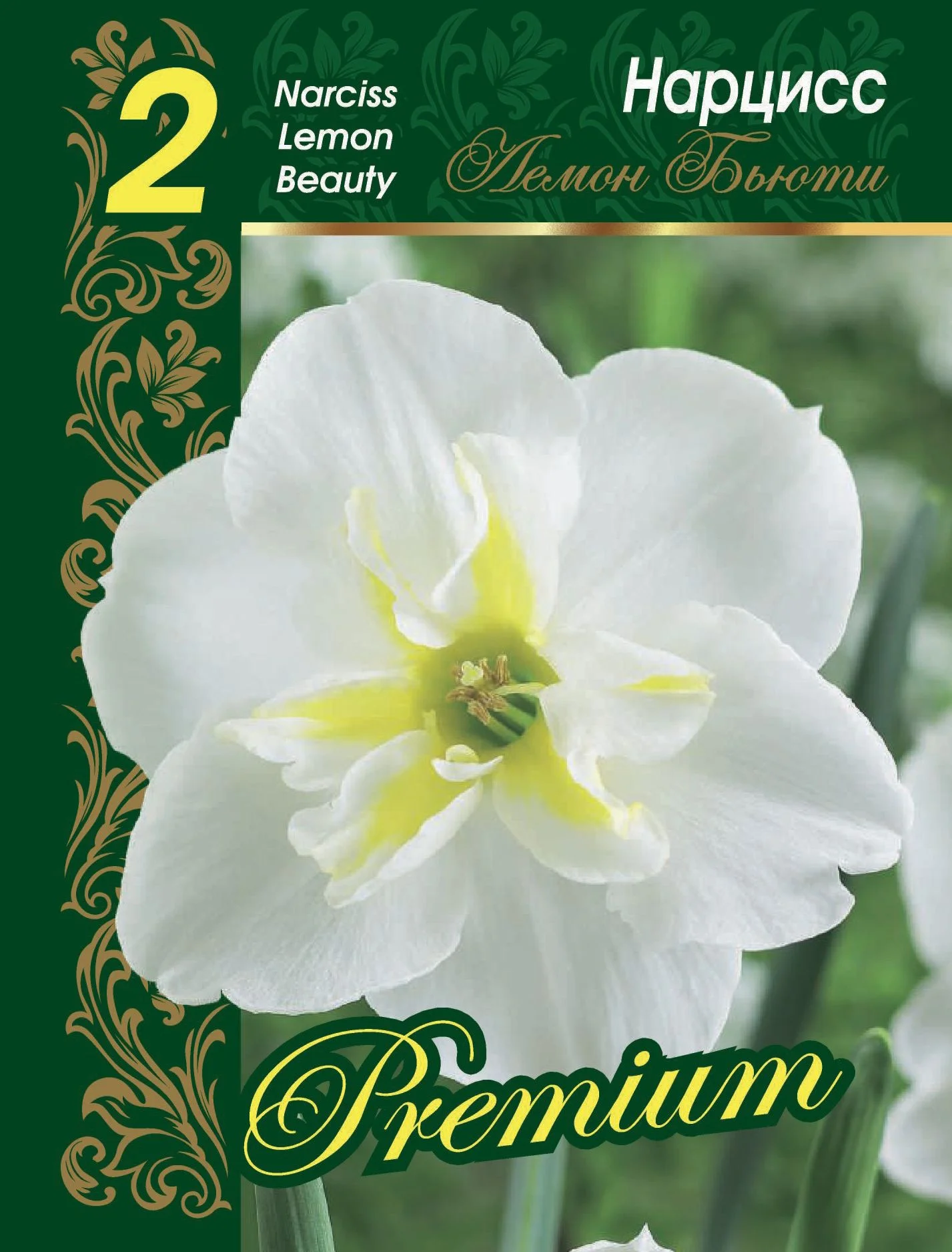 Лемон Бьюти