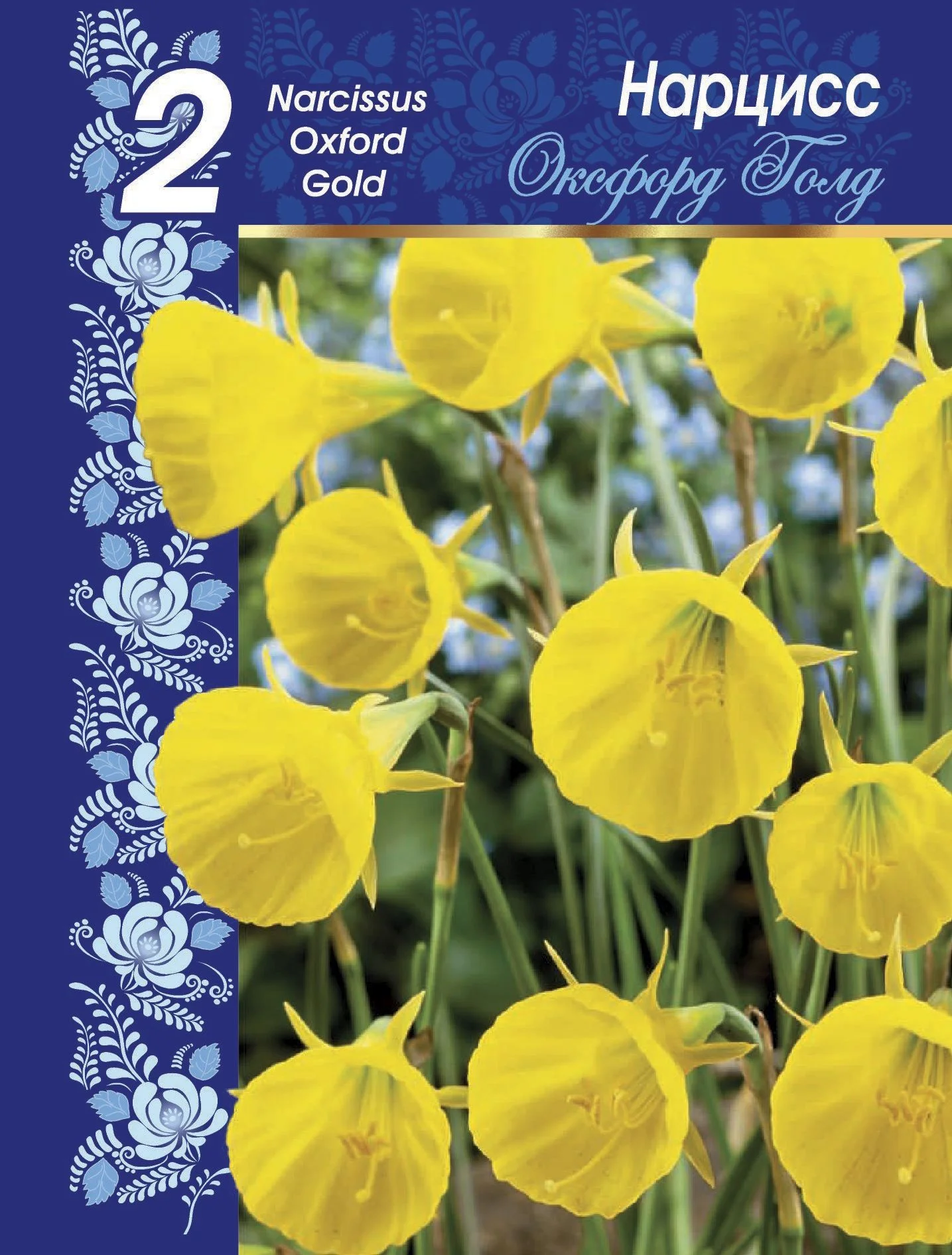 Оксфорд Голд