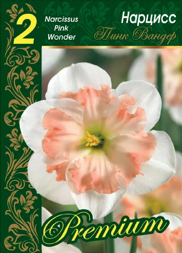 Пинк Вандер