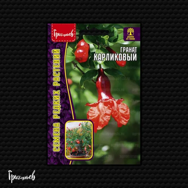 Карликовый