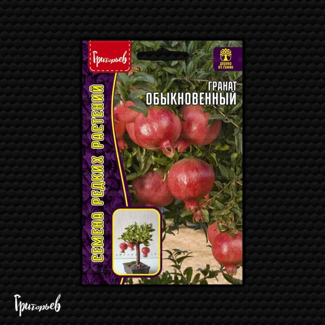 Обыкновенный