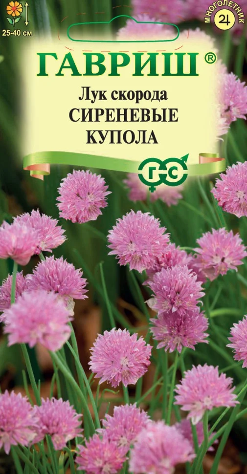 Сиреневые купола