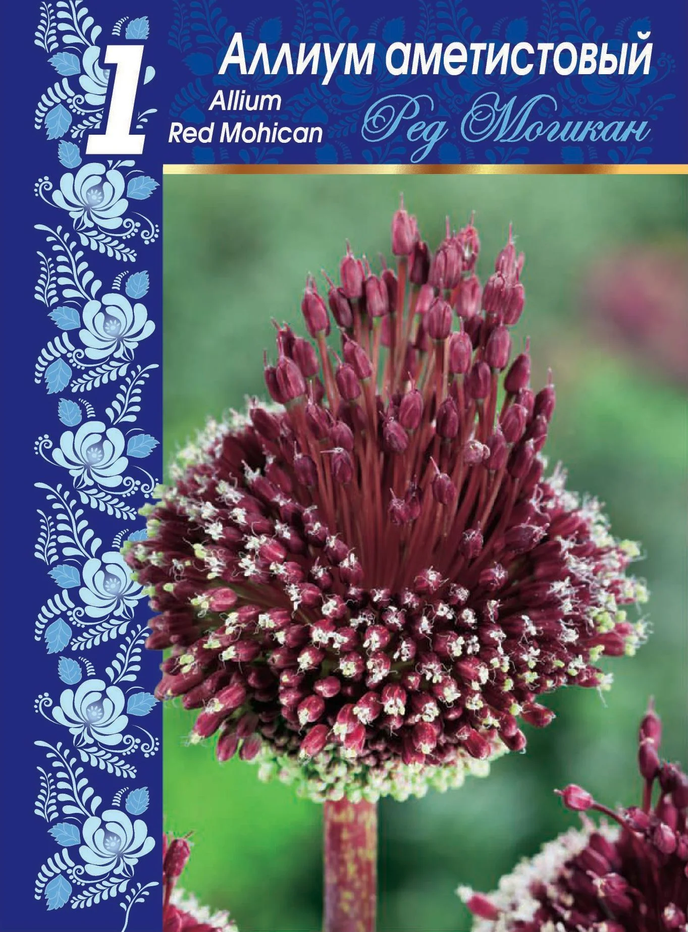 Ред Могикан