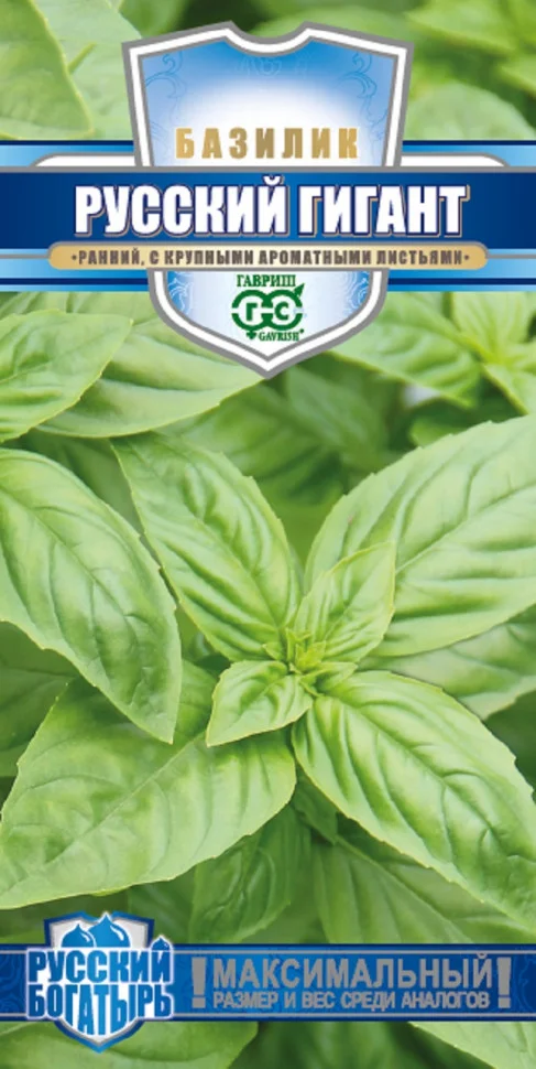 Русский гигант зеленый 