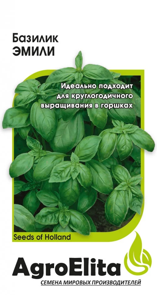 Крупнолистный сладкий