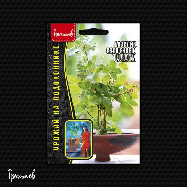 Туласи священный