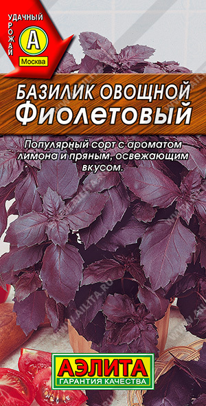 Фиолетовый