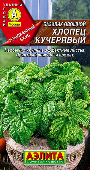 Хлопец кучерявый