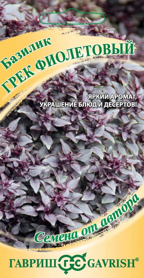 Грек Фиолетовый