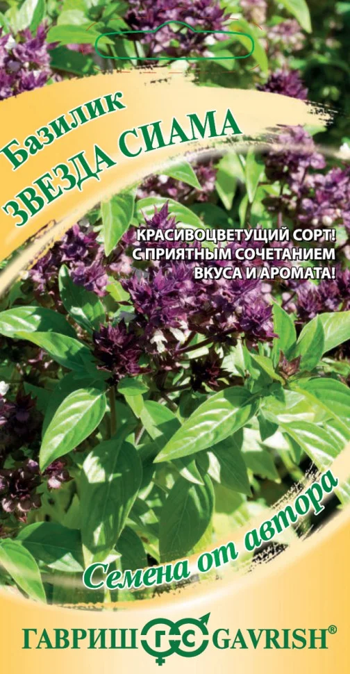 Звезда Сиама 