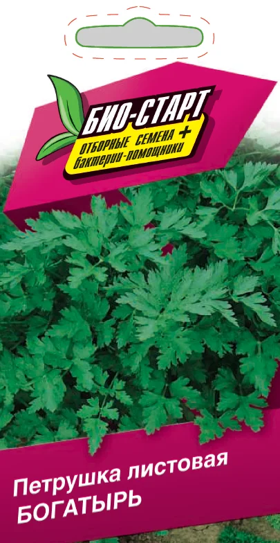 Миниатюра изображения сорта Богатырь