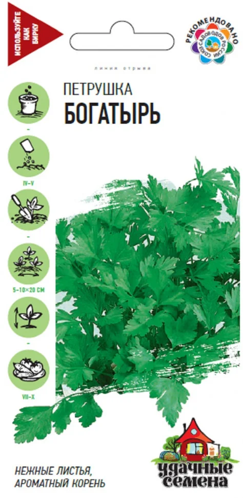 Миниатюра изображения сорта Итальянский богатырь