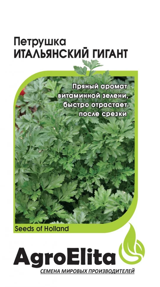 Миниатюра изображения сорта Итальянский гигант