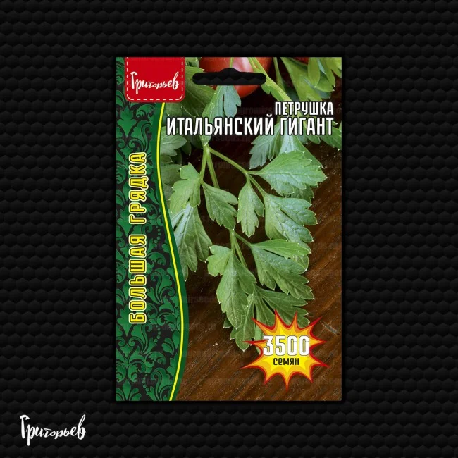 Миниатюра изображения сорта Итальянский гигант