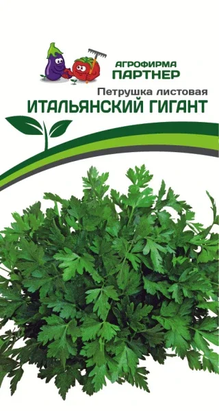 Миниатюра изображения сорта Итальянский гигант