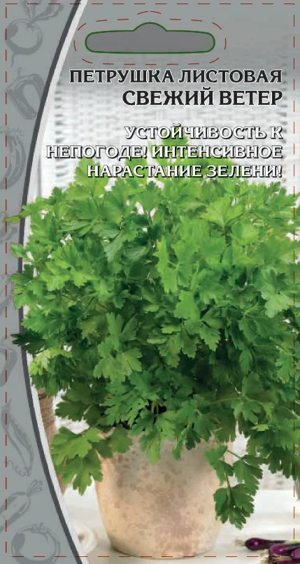 Свежий ветер